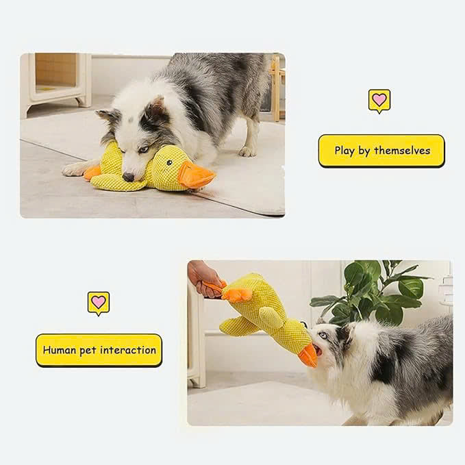 🔥Last Day Sale 50% OFF✨😸Best Friends Calming Duck Toy🐶